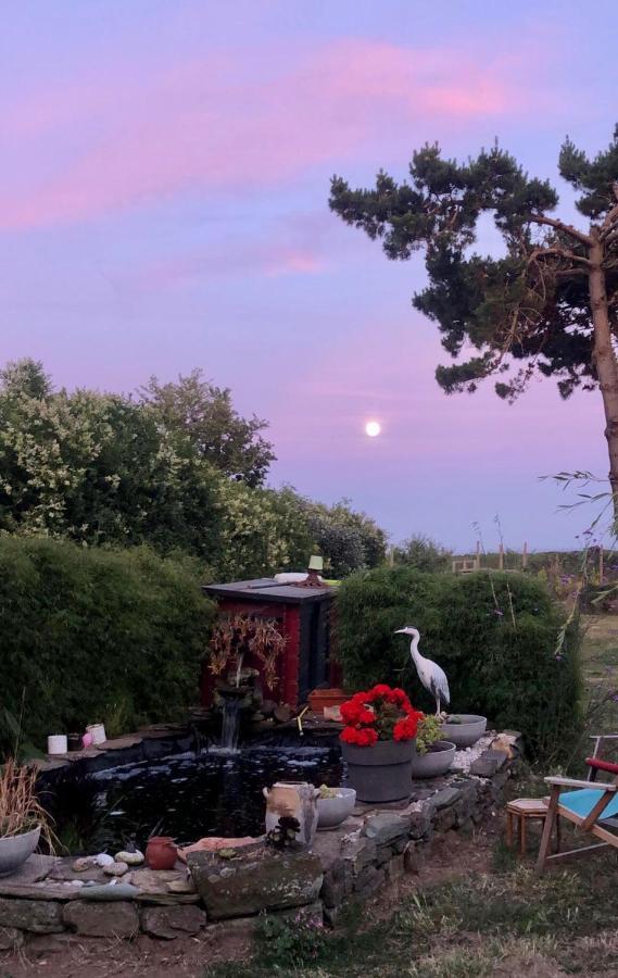Bed and Breakfast La Korrigane Groix Exterior foto